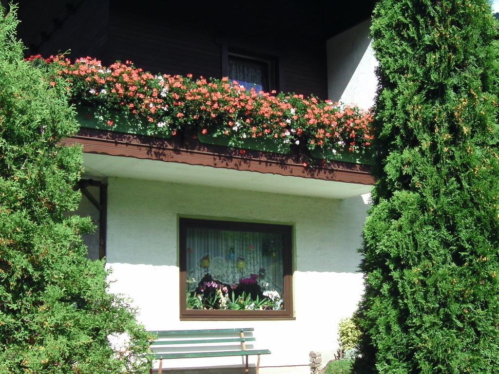 Appartement Ria Bad Kleinkirchheim Kültér fotó
